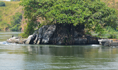 PROCEDURAL SEDATION AND ANALGESIA COURSE test2